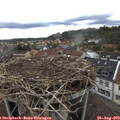 13_35-nest.jpg