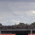 13_40-mast.jpg