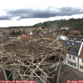 13_40-nest.jpg