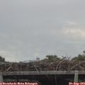 13_45-mast.jpg