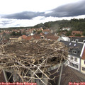 13_45-nest.jpg