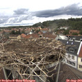 13_50-nest.jpg