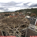13_55-nest.jpg