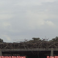 14_00-mast.jpg