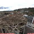 14_00-nest.jpg