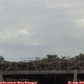 14_05-mast.jpg