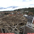 14_05-nest.jpg