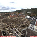 14_10-nest.jpg