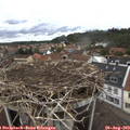 14_20-nest.jpg