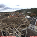 14_25-nest.jpg