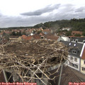 14_30-nest.jpg