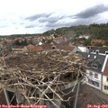 14_35-nest.jpg