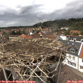 14_40-nest.jpg