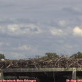 14_45-mast.jpg