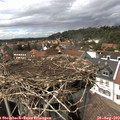 14_45-nest.jpg