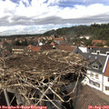14_55-nest.jpg