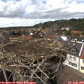 15_00-nest.jpg