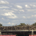 15_05-mast.jpg