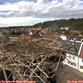 15_05-nest.jpg