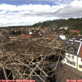 15_10-nest.jpg