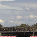 15_15-mast.jpg