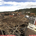 15_15-nest.jpg