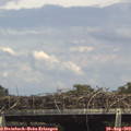 15_20-mast.jpg