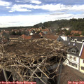 15_20-nest.jpg