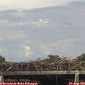 15_25-mast.jpg
