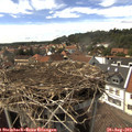 15_25-nest.jpg