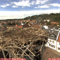 15_30-nest.jpg
