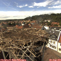 15_35-nest.jpg