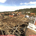15_40-nest.jpg