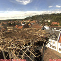 15_45-nest.jpg