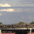 15_55-mast.jpg