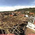 15_55-nest.jpg