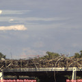16_00-mast.jpg