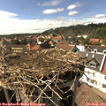 16_10-nest.jpg