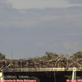 16_15-mast.jpg