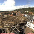 16_15-nest.jpg