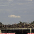 16_20-mast.jpg