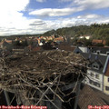 16_20-nest.jpg