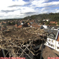 16_25-nest.jpg
