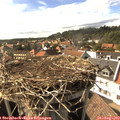 16_35-nest.jpg