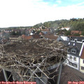 16_40-nest.jpg