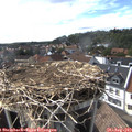 16_45-nest.jpg