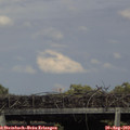 16_55-mast.jpg