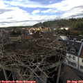 16_55-nest.jpg