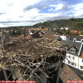 17_00-nest.jpg