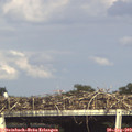 17_10-mast.jpg